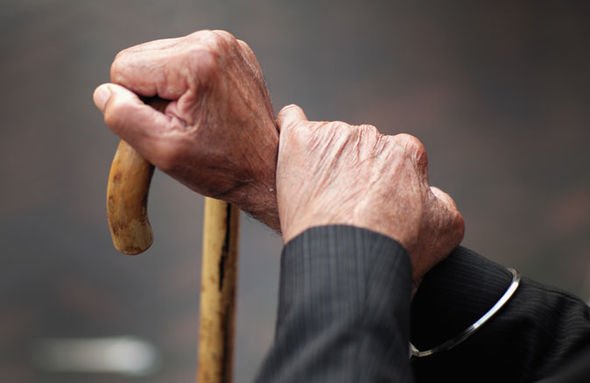 How Old Is Rem in Demon Slayers Character Profile?